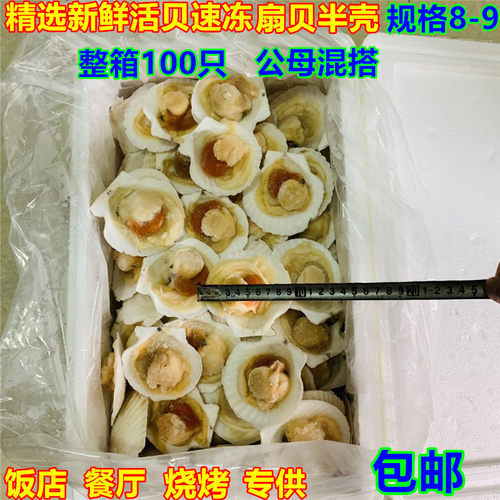 冷冻新鲜半壳大扇贝海鲜夏夷贝鲜活速冻扇贝100只烧烤材料食材