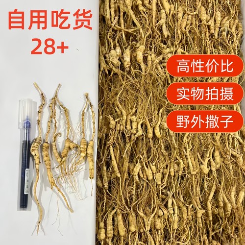 高年头长白山林下参野山老人参