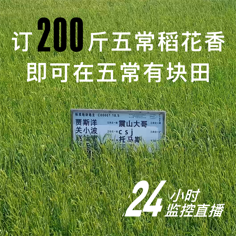 100Ã×