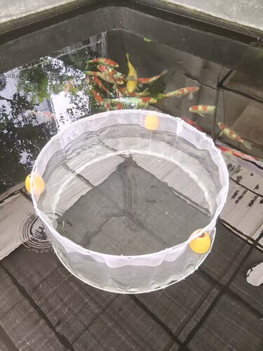 圣贺浮动式养殖网箱加厚尼龙结实
