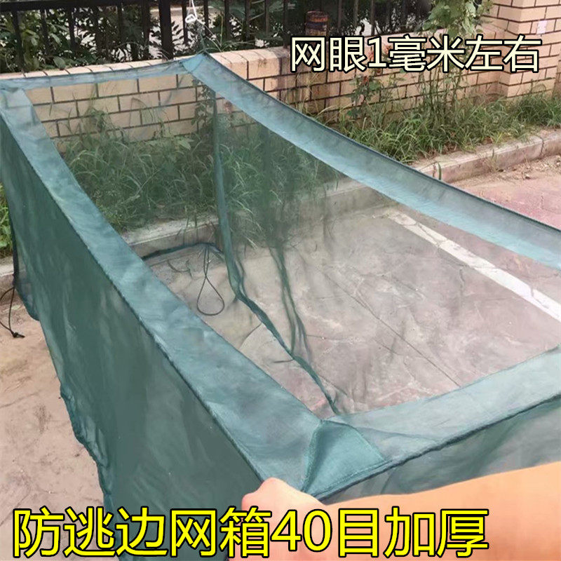 网箱养鱼防逃专用 养鱼神器 养殖泥鳅黄鳝幼苗网塑料小龙虾防逃网