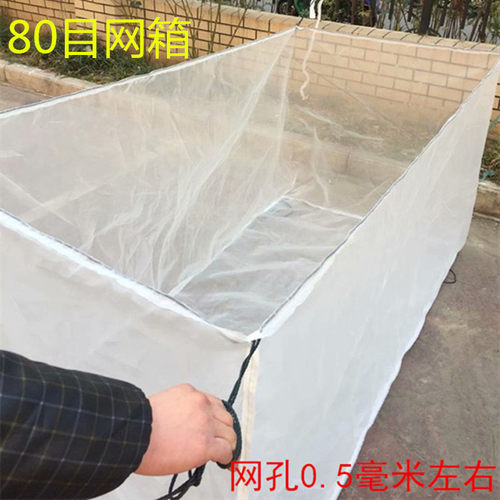 80目养殖网水蛭加厚育苗孵化水花