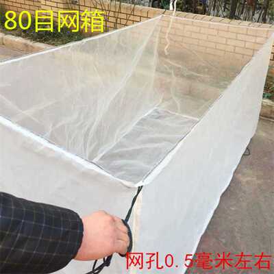 加厚80目鱼网箱鱼池养鱼箱活鱼养殖网箱 黄鳝泥鳅水蛭水花催产池