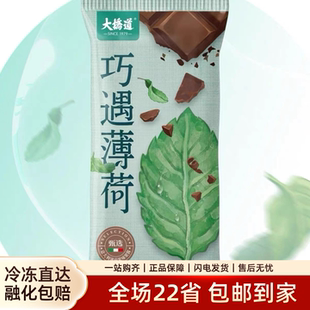 【奶油薄荷】20支大桥道巧遇薄荷口味雪糕网红巧克力冰淇淋冷饮批