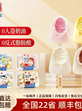 美登高小矮人冰淇淋生牛乳口味生巧草莓香草儿童雪糕360g家庭装批