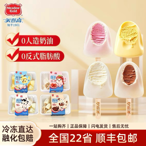 美登高小矮人冰淇淋生牛乳口味生巧草莓香草儿童雪糕360g家庭装批