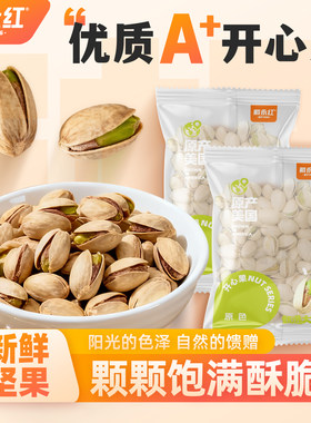 戴永红零食原色开心果独立小包装
