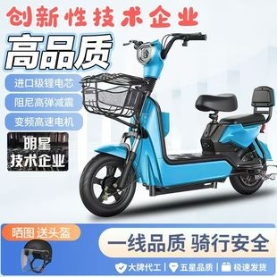 电瓶车 新国标电动自行车成人小型代步轻便式 2026新款 电动车男女式