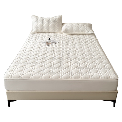 夏季2024新款全棉床笠罩纯棉床罩