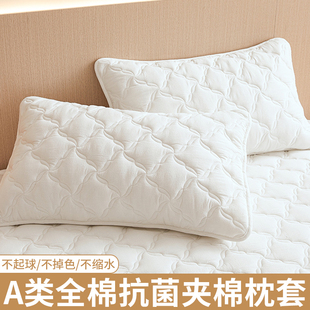 纯棉枕套一对装 48cmx74cm全棉单个枕头套加厚夹棉防水枕芯内胆套