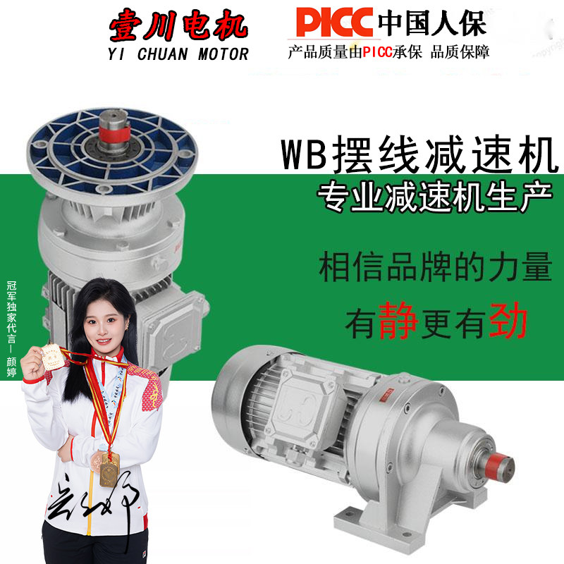 微型摆线减速机WB85/100/120/150 9-87速比立卧式安装摆针减速器