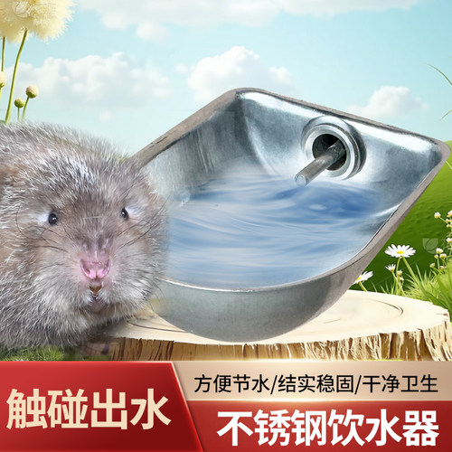 竹鼠银星咬嘴水碗爆款中华不锈钢饮水器兔养殖自动饮水槽貂喂食器