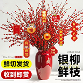 银柳真花鲜枝新年宵花卉红色干花福桶室内花绿植物银柳鲜花卉基地