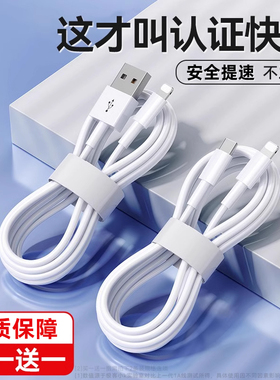 极客小K 适用于苹果iPhone/ipad14数据线快充手机充电线加长米器6s/11/7P/8plus/12pro13max/r闪充短平板车载