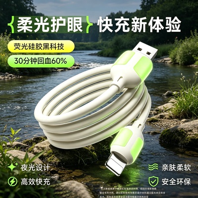 极客小K苹果超级快充数据线
