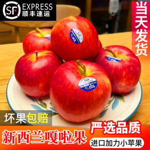 2026新西兰进口嘎啦加力姬娜小苹果gala红玫瑰甜新鲜孕妇水果脆甜