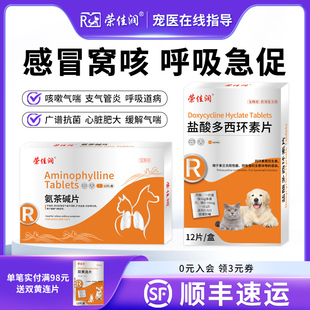 狗狗猫咪哮喘药感冒咳嗽支气管炎心脏肥大宠物用止咳平喘药肺心康