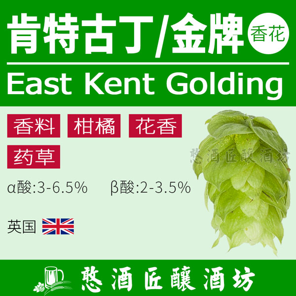 肯特古丁EastKentGolging金牌