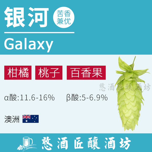 银河galaxy澳大利亚啤酒花兼香型