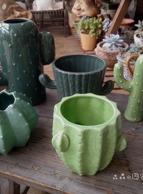 仙人柱墨西哥拍摄道具家居装饰