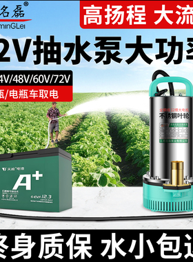 12V抽水泵大功率24伏直流潜水泵48v60v72v电动车电瓶车专用水泵机