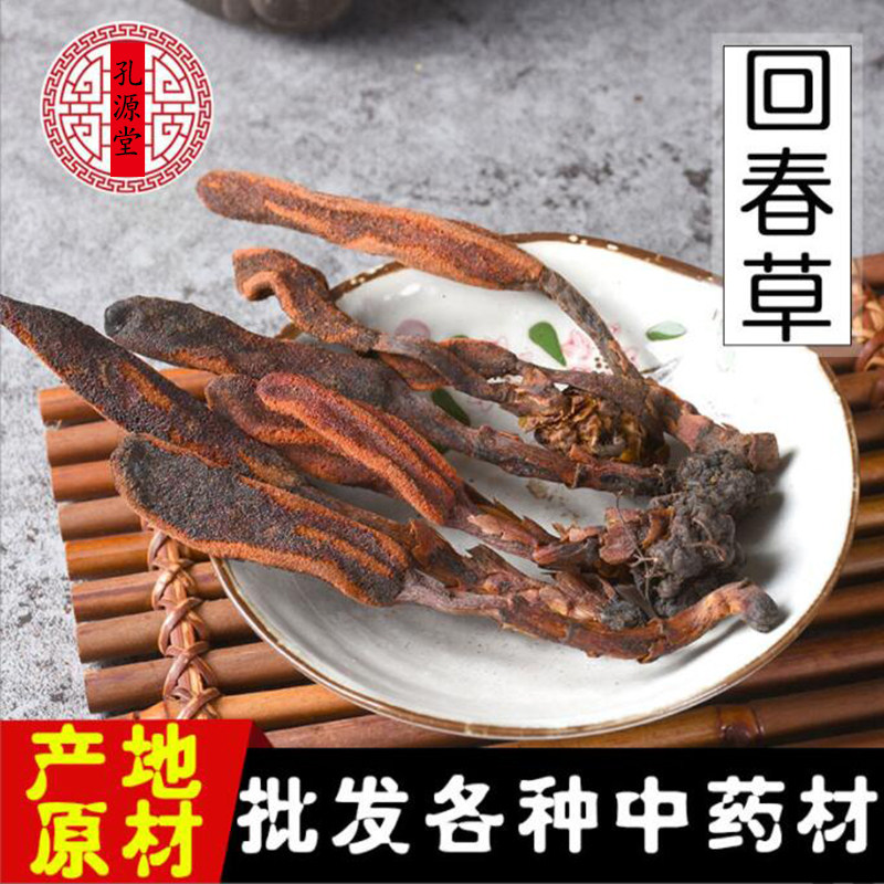 云南回春草野不老草生顶天柱配肉苁蓉泡酒配酒料泡水500g正品包邮