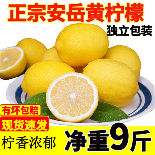 四川安岳黄柠檬新鲜水果皮整箱
