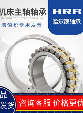 HRB哈尔滨精密机床主轴轴承 NN3013 KP5W33 D3182113K 正品原厂