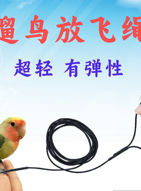 鹦鹉放飞遛鸟绳子君羽鹦鹉