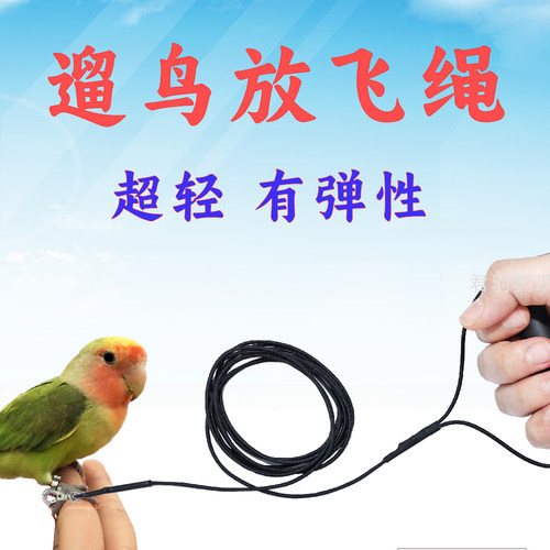 鹦鹉放飞遛鸟绳子君羽鹦鹉