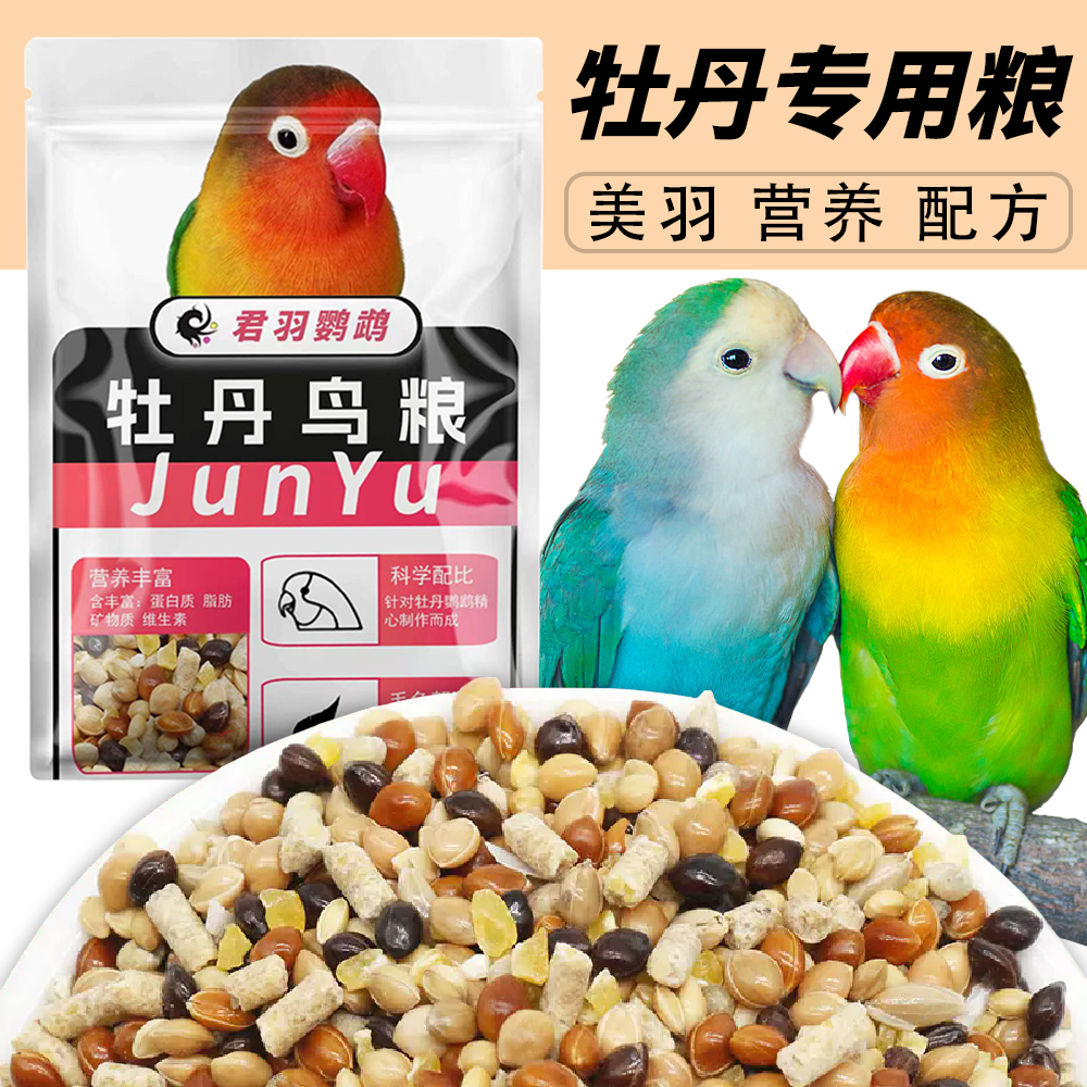 君羽鹦鹉鸟食新鲜美味护毛靓羽