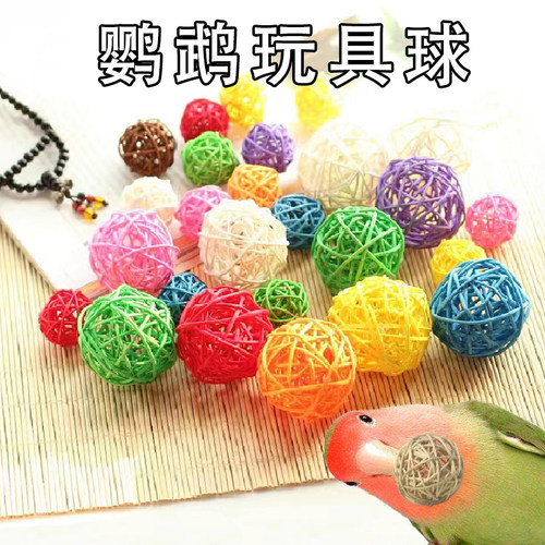 鹦鹉啃咬玩具藤球君羽鹦鹉