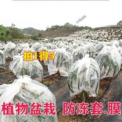 植物防寒布袋套保护罩花草花盆盆栽花卉防霜冻防滑家用防冻保暖罩