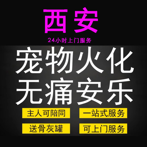 西安市宠物火化殡葬狗犬猫兔子动物善终尸体安葬无痛安乐上门服务