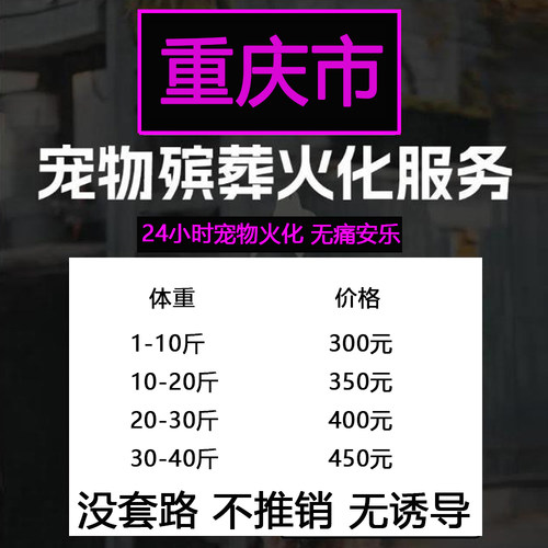 重庆市宠物毛孩子火化葬殡猫狗兔鼠动物骨灰无痛安乐善终上门服务