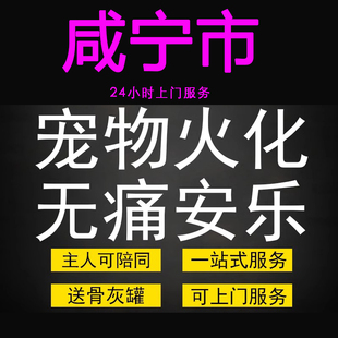 咸宁市宠物火化殡葬毛孩子狗狗猫兔善终骨灰纪念无痛安乐上门服务