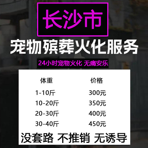 长沙市宠物殡葬善终猫咪兔子狗狗仓鼠毛孩子火化无痛安乐上门服务