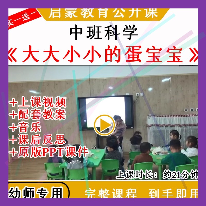 1幼儿园优质公开课小班科学活动大大小小的蛋宝宝视频教案课件PPT