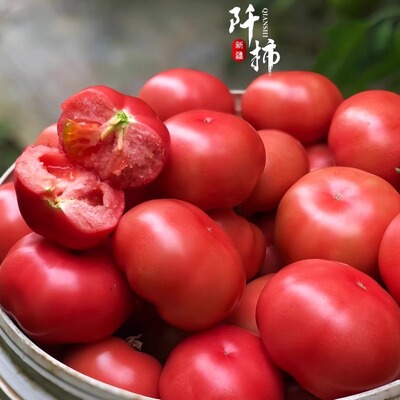 新疆阡柿普罗旺斯沙瓤西红柿5斤沙瓤多汁酸甜口感果香浓郁吐鲁番