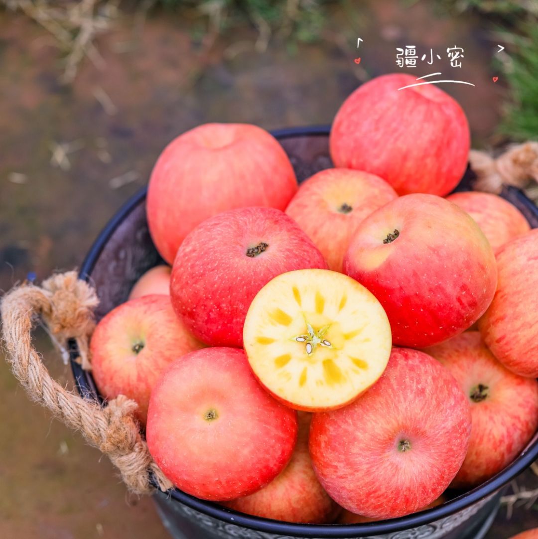 疆小蜜阿克苏冰糖心苹果正宗红旗坡新鲜甜脆爽口生态种植健康营养