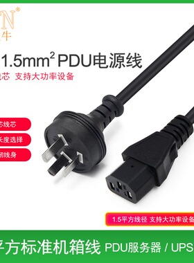 海天牛UPS电源线1.5平方服务器PDU大功率线 10A转C131.8米3米5米