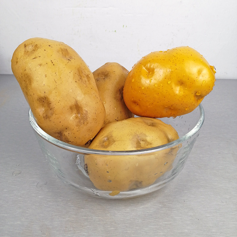 仿真蔬菜假土豆马铃薯样板房餐厅农家乐超市装饰摆件拍摄写生道具