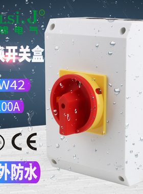 LW42-100A负荷开关盒密封式隔离开关主控电源切断表面防水尘IP65