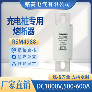 DC1000V充电桩熔断器RSM4988新能源汽车熔断器（RS309）(HEV)