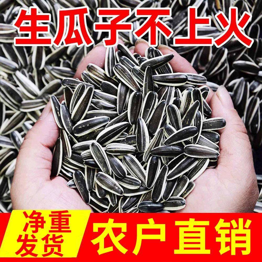 新货生瓜子大颗粒生熟葵瓜子葵花籽炒原味5斤袋1斤500g零食批发