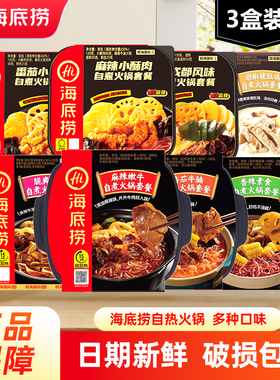海底捞自煮火锅自助自热小火锅麻辣嫩牛自懒人嗨夜宵方便速食食品