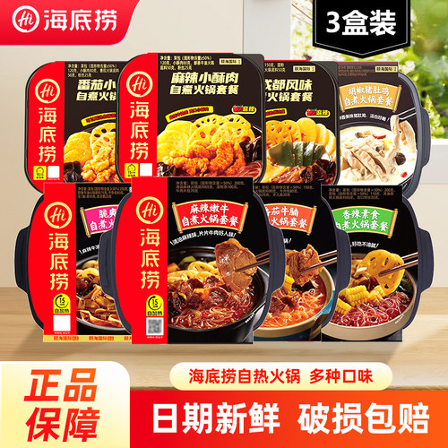 海底捞自煮火锅自助自热小火锅麻辣嫩牛自懒人嗨夜宵方便速食食品