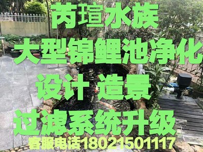 锦鲤鱼池清洗上门服务清洗过滤仓清洗更换过滤器材园林鱼池造景