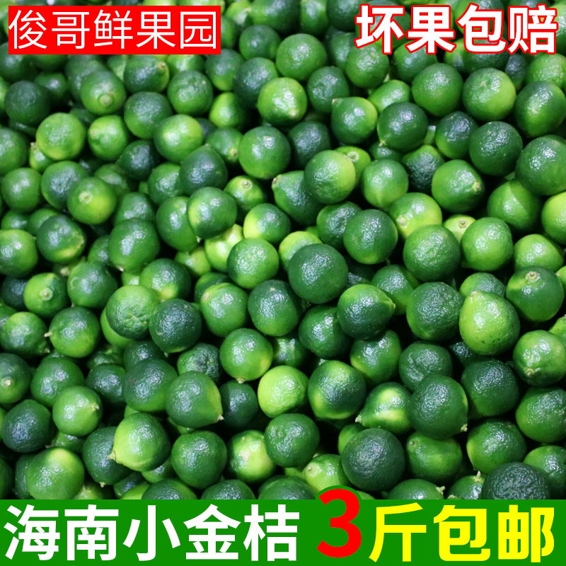 (用1元券)海南小金桔青金桔柠檬免邮小青柠