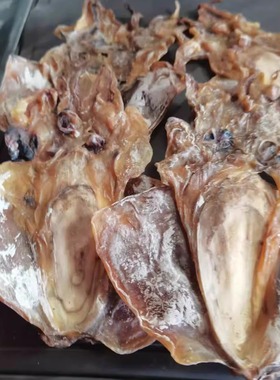 武穴墨鱼梅川余川湖北武穴特产年货蕲春大乌贼目鱼干